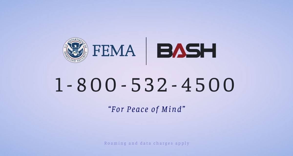 FEMA and BASH team up in Don't Look Up